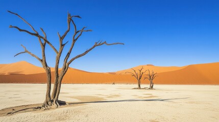 Deadvlei, Namibia: A Landscape of Contrasts