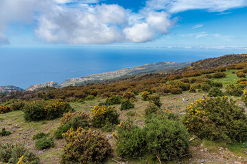 Obraz premium Landscape around the Barragem do Pico da Urze reservoir on the island of Madeira
