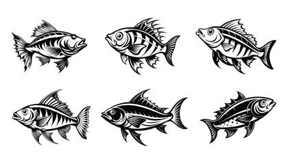 Anabas fish silhouette design bundle set with white background