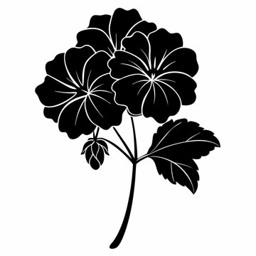 black geranium flower silhouette on white clip art preview