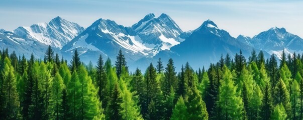 Fototapeta premium Alpine forest with snowcapped peaks and wildlife, highaltitude ecosystem, rugged beauty