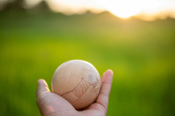 A person is holding a baseball in a field