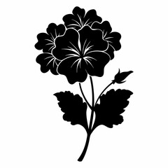 Geranium Black silhouette