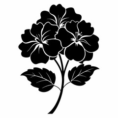 Geranium Black silhouette