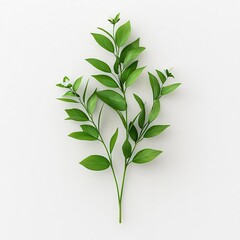 Fresh green leaves arranged elegantly on a white background, perfect for nature-inspired designs and themes.