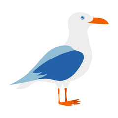 A seagull is standing on a white background. The bird is blue and white. The bird is looking to the right