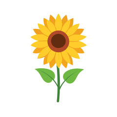 Simple flat color style sunflower vector illustration for digital and print designs.