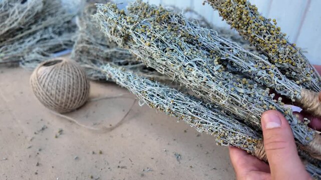 bunches of wormwood for fumigating the room