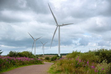 Landscape photography of wind turbines, windmill, wind power, power generation, electricity, industry, decarbonisation, innovation, green energy, scenic, generate, Whitelee Windfarm Scotland