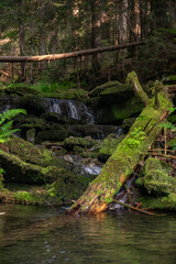 Brenna Dzikie Wodospady