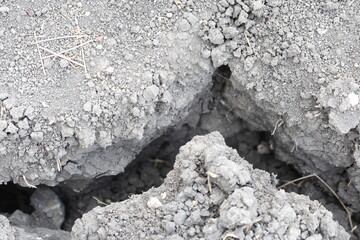 cracked soil due to severe lack of water