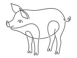 continuous single line drawing of domestic pig, line art vector illustration
