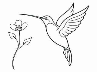 continuous single line drawing of hummingbird hovering while feeding at flower, line art vector illustration
