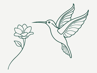 Single Continuous Line Art of Hummingbird Feeding on Flower, Minimalist Vector Illustration, Artistic Nature Design. © VectorVibe