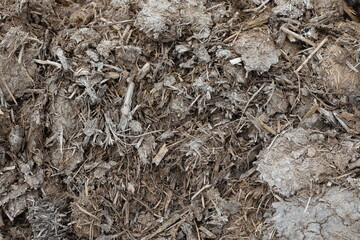 decomposed cow dung compost in the farm