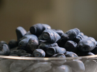 Bowl of Fresh Honeyberries (Lonicera caerulea)