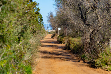 Formentera: Estany Pudent laguna salina que permite observar naturaleza, aves, y pasear por su entorno en un recorrido a pie, o en bici