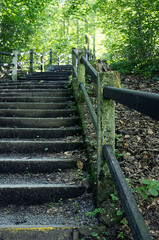 Stairs on a forest path. Forest path with stairs. Ascent, stairs made of natural materials. Ascent, path under the treetops.