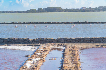 Formentera: Estany Pudent laguna salina que permite observar naturaleza, aves, y pasear por su...