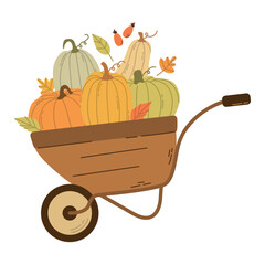 Wheelbarrow with harvest, pumpkin harvest, autumn illustration, vector illustration in flat style