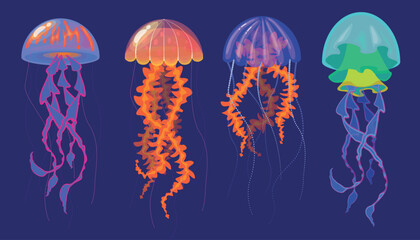 Set of transparent jellyfish in cartoon style.Vector illustration of sea jellyfish of different species with gelatinous body, cap, pulling tentacles isolated on dark blue background. Underwater world.