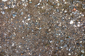 地面テクスチャ