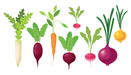 Set healthy vegetables and plants in cartoon style. Vector illustration of tasty vegetables, root crops, plants: white and red radishes, red beets, carrots, onions, isolated on a white background.