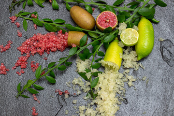 Ripe yellow and burgundy oblong citrus fruits with green sprigs on the black slate slab, close-up. Australian finger lime plant indoor growing. Microcitrus australasica, Faustrimedin