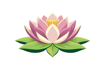 Lotus flower vector art illustration