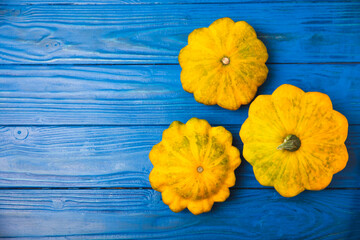 Pattypan zucchini on a textured kitchen table. squash. Fresh organic pattypan squashes on...