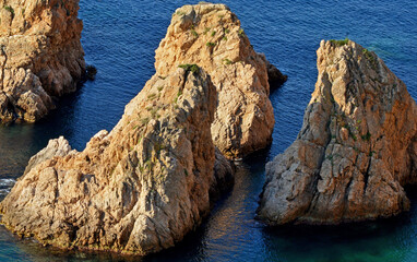 Felsen und Baum am Meer mit goldener Spiegelung