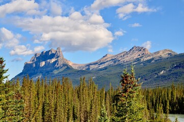 Fototapeta premium Castle Mountain in Banff National Park