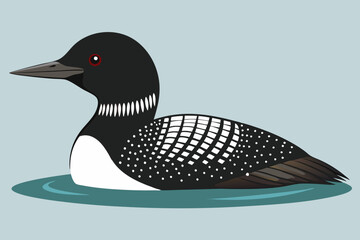 Common Loon bird vector art illustration 
