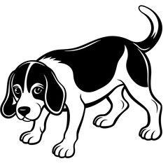 beagle crouching vector the beagle lowers illustration