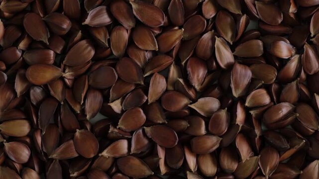 Roasted Beech nuts, top view. 4K Video, rotating. Fruits of European beech tree (Fagus sylvatica) used in alternative medicine for improvements in male potency.