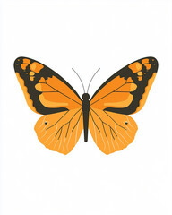 Obraz premium orange and black detailed beautiful cartoon swallowtail butterfly. 4k full hd insect illustration design art isolated on white background