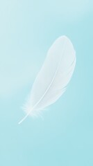 Obraz premium a white feather is laying on the blue ground. Generative ai
