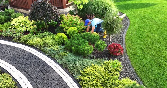 Professional Gardener Performing Seasonal Garden Maintenance Aerial View.