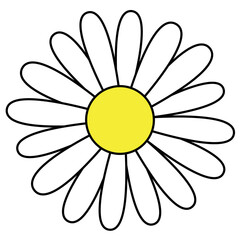 daisy flower head, simple color vector illustration of one yellow bloom with white petals isolated on white © Roman