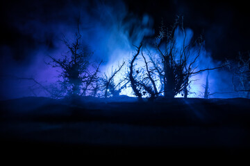 Spooky dark landscape showing silhouettes of trees in the swamp on misty night.