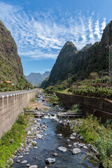 Fototapeta premium Banana plantations above the town of Ribeira Brava on the island of Madeira