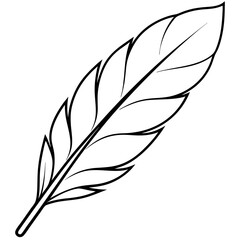 Obraz premium Black and White Feather Outline Vector Illustration for Art and Design Projects