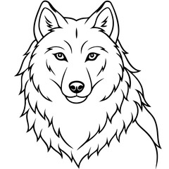 Fototapeta premium Wolf Face Vector Art Detailed Line Drawing Wildlife Illustration Animal Design Clipart Editable