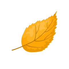 Yellow birch leaf isolated on white background. Vector cartoon. Nature icon.