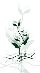 abstract image illustration of green leafy plant on white background