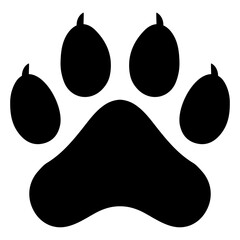Animal paw © Mariia