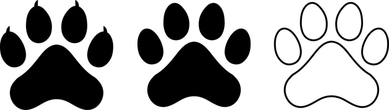 Set of different animal paw