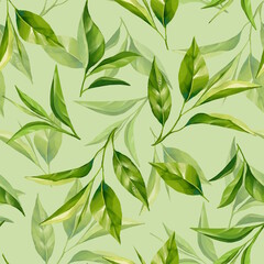 Seamless pattern with green tea leaves. Floral background.