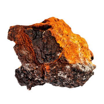 Part of a chaga mushroom on a white and transparent background. PNG.