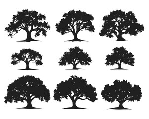 set of silhouette clipart of a large oak tree, Big collection of tree silhouettes isolated
